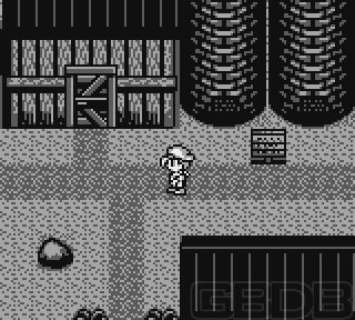 The Game Boy Database - harvest_moon_51_screenshot1.jpg